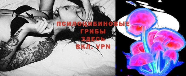 PSILOCYBIN Алексеевка