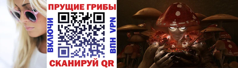 Псилоцибиновые грибы GOLDEN TEACHER Цимлянск
