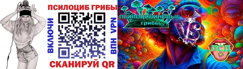 Галлюциногенные грибы MAGIC MUSHROOMS  где можно купить наркотик  Цимлянск 